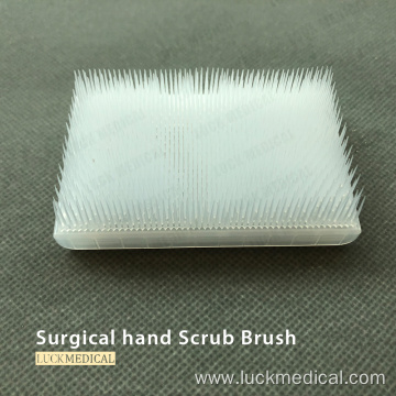 Soft Hand Scrub Brush With Handle